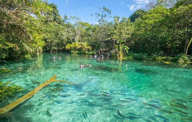 Bonito / MS - Carnaval